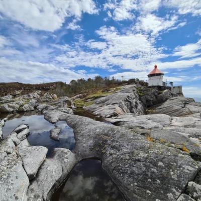 Rubbegarnståna på Hellesøy
