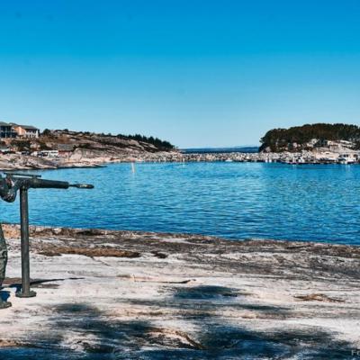 Hvalfangeren på Rong